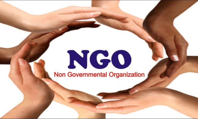 NGO-653x393