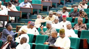 House-of-Reps-3