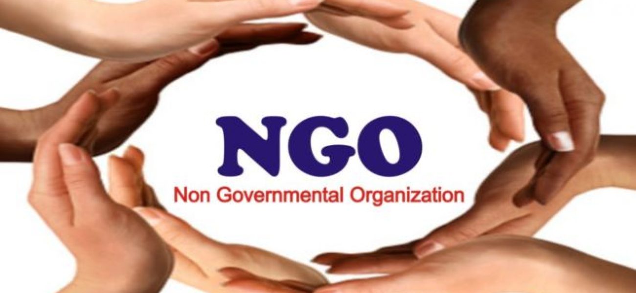 NGO-653x393