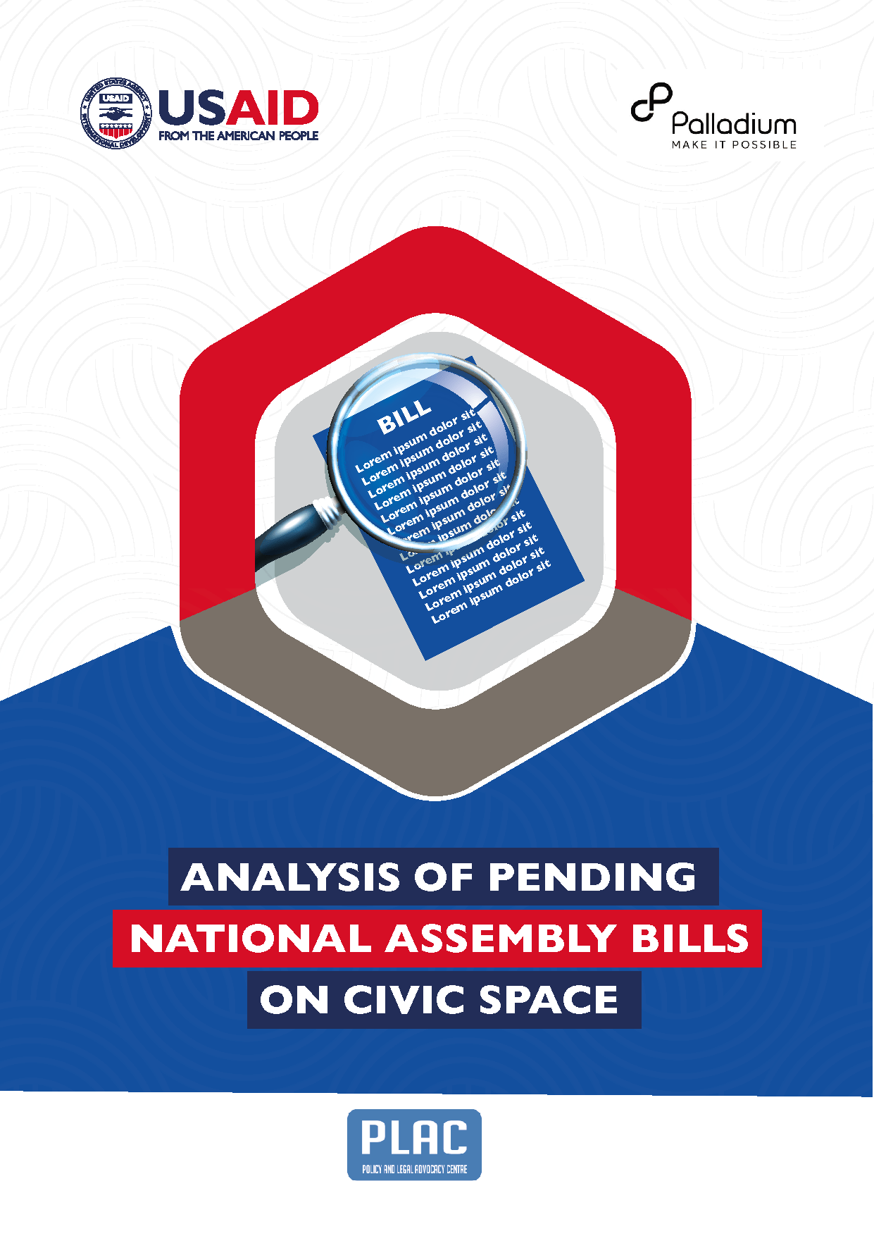 Analysis of pending NASS bill on civic space