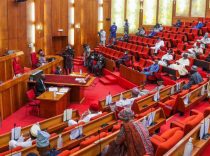 senate-reject-armed-forces-establishment